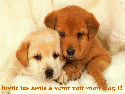 ils sont pas mignon ces deux la