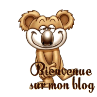 bienvenue